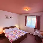 Apartmany, Penzion, Wellness U Zlate Rybky 3* Vyškov