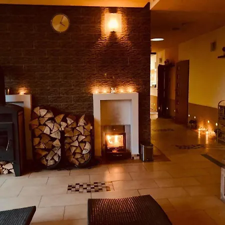 Apartmany, Penzion, Wellness U Zlate Rybky 3*