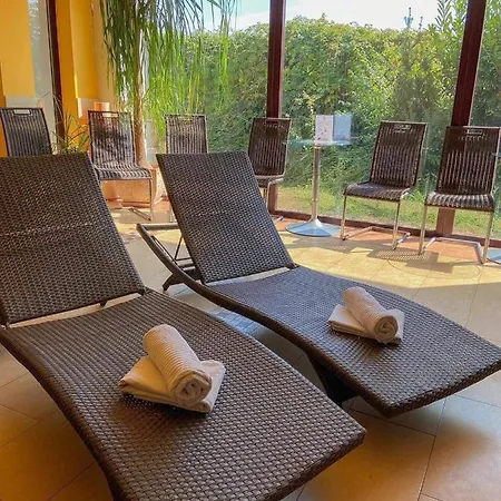 Apartmany, Penzion, Wellness U Zlate Rybky 3* Vyskov