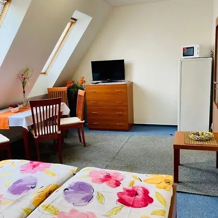 Hotel Apartmany, Penzion, Wellness U Zlate Rybky
