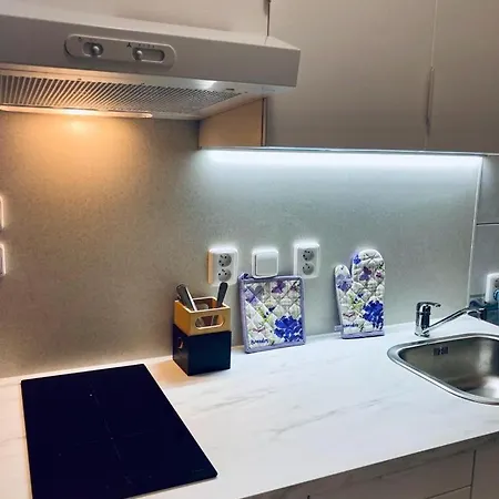 Apartmany, Penzion, Wellness U Zlate Rybky Hotel 3*