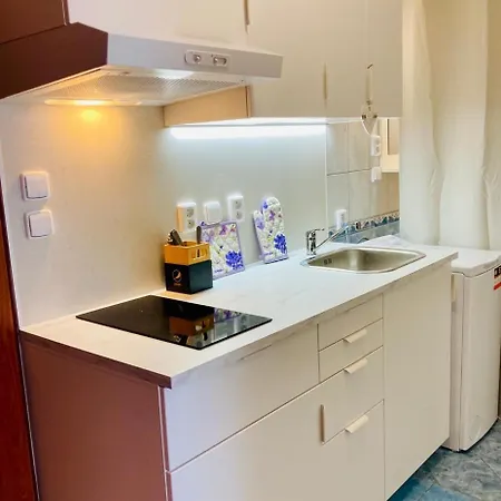 Hotel Active Wellness U Zlaté Rybky 3*