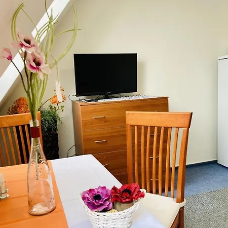 Hotel Apartmany, Penzion, Wellness U Zlate Rybky Vyskov