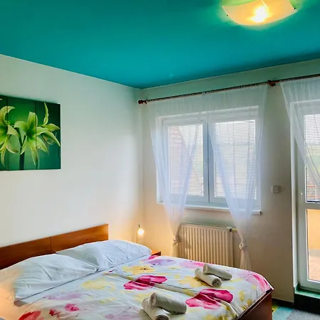 Hotel Apartmany, Penzion, Wellness U Zlate Rybky 3*