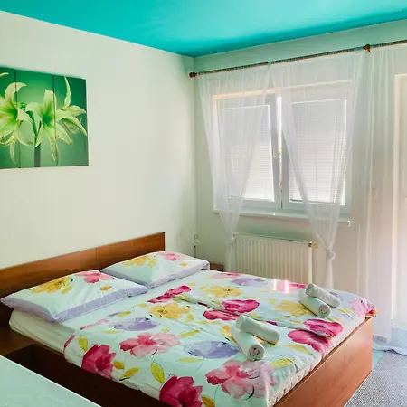 Apartmany, Penzion, Wellness U Zlate Rybky Hotel Vyškov