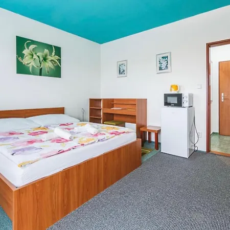 Hotel Apartmany, Penzion, Wellness U Zlate Rybky