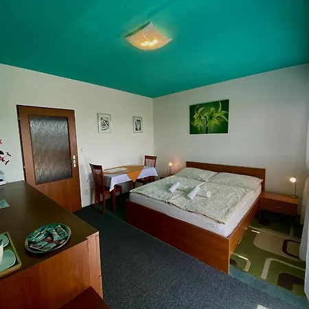 Apartmany, Penzion, Wellness U Zlate Rybky Hotel Vyškov
