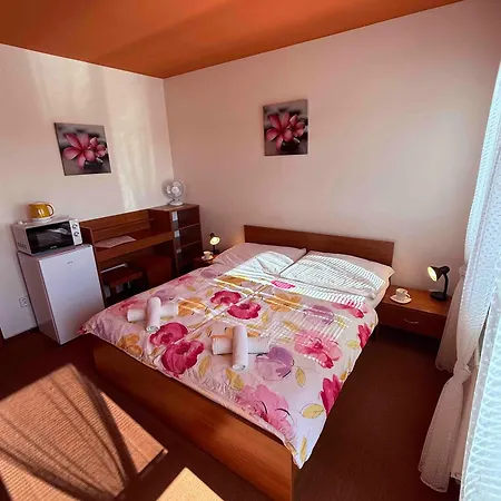 Hotel Active Wellness U Zlaté Rybky Vyškov