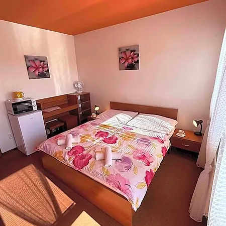 Active Wellness U Zlaté Rybky Hotel 3*