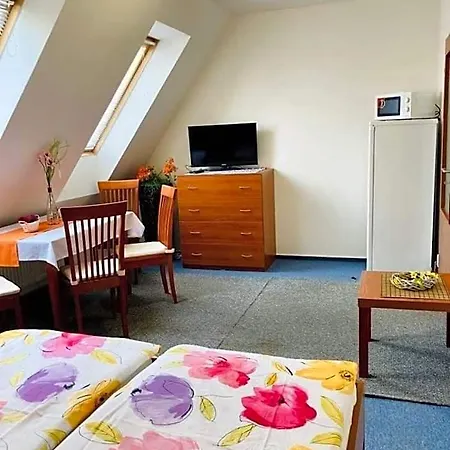 Hotel Apartmany, Penzion, Wellness U Zlate Rybky 3*