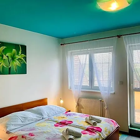 Active Wellness U Zlaté Rybky Hotel Vyškov