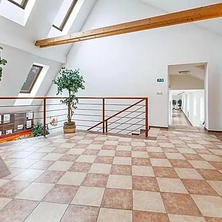 Active Wellness U Zlaté Rybky 3* Vyškov