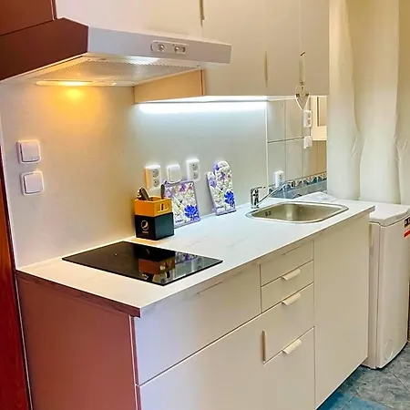 Active Wellness U Zlaté Rybky Hotel 3*