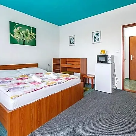 Active Wellness U Zlaté Rybky Hotel
