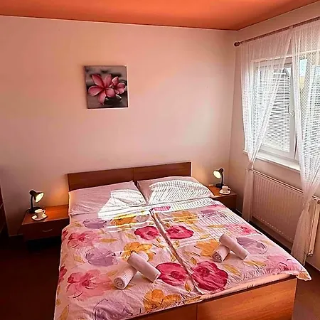 Hotel Active Wellness U Zlaté Rybky Vyškov