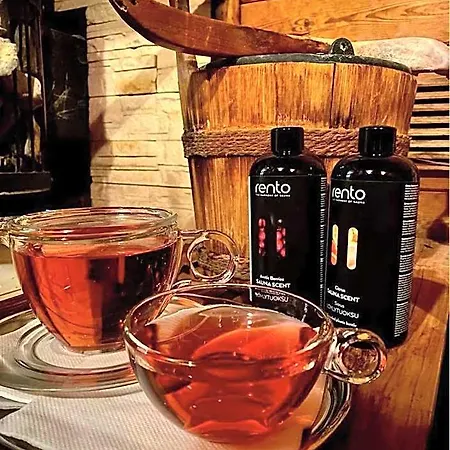 Apartmany, Penzion, Wellness U Zlate Rybky Hotel Vyskov