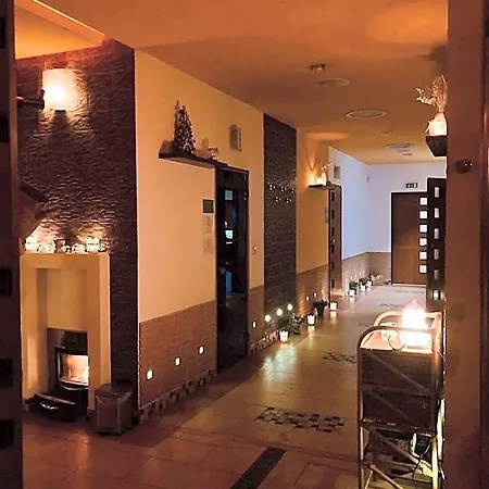 Apartmany, Penzion, Wellness U Zlate Rybky 3*