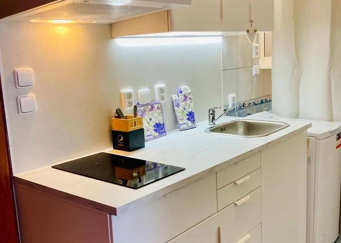 Ξενοδοχείο Apartmany, Penzion, Wellness U Zlate Rybky 3*