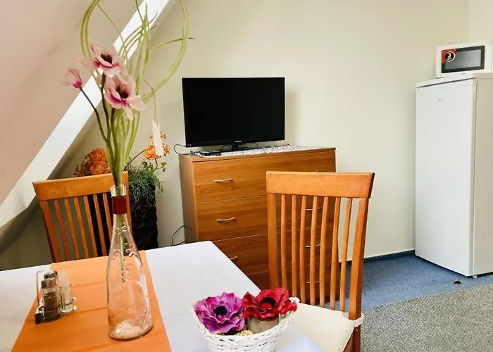 Ξενοδοχείο Apartmany, Penzion, Wellness U Zlate Rybky Vyškov