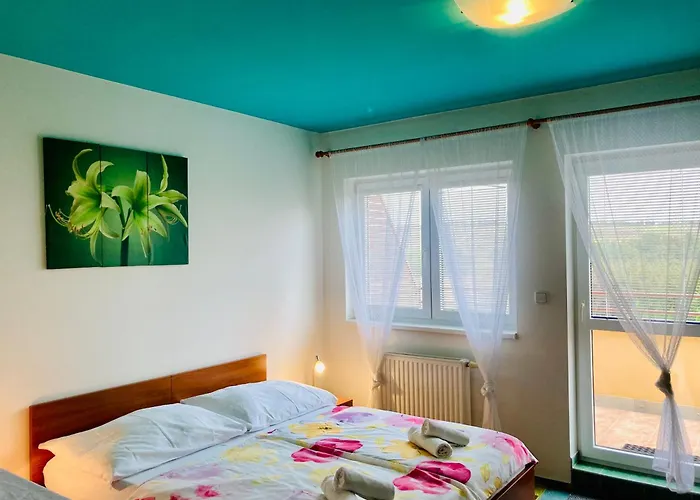 Ξενοδοχείο Apartmany, Penzion, Wellness U Zlate Rybky 3*