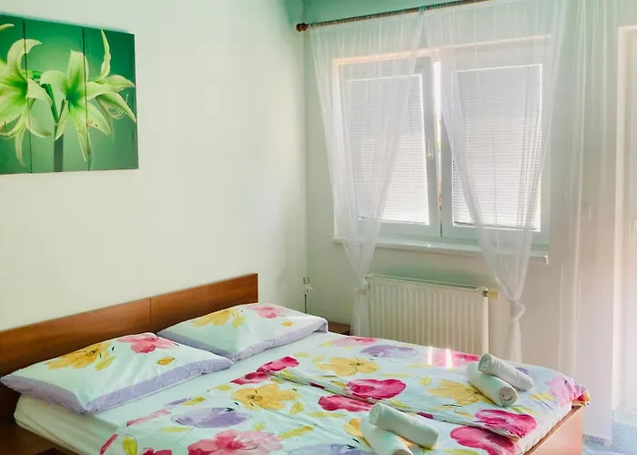 Apartmany, Penzion, Wellness U Zlate Rybky Ξενοδοχείο Vyškov