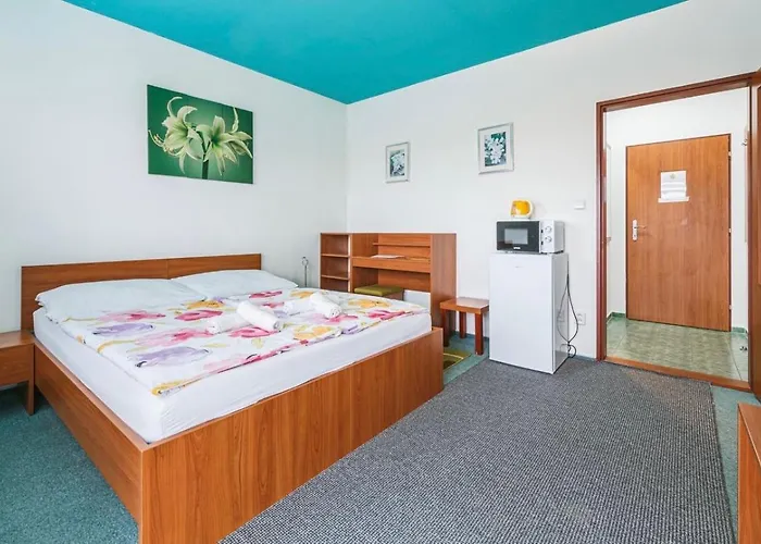 Ξενοδοχείο Apartmany, Penzion, Wellness U Zlate Rybky