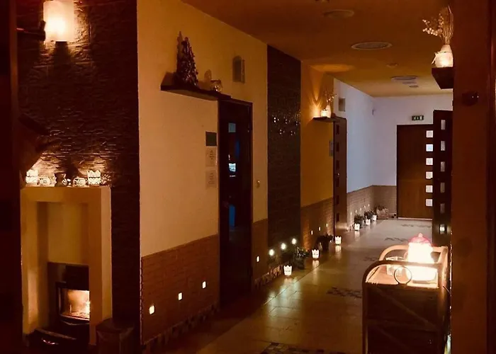 Apartmany, Penzion, Wellness U Zlate Rybky