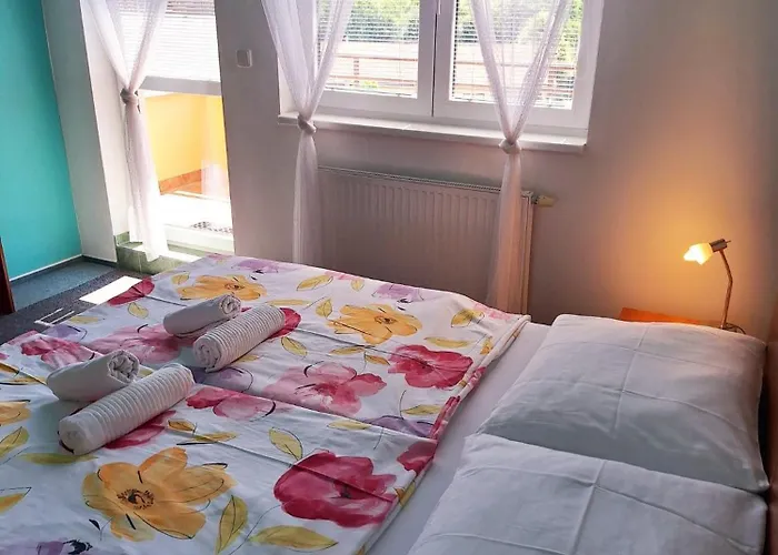 Ξενοδοχείο Apartmany, Penzion, Wellness U Zlate Rybky Vyškov