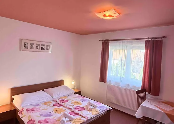 Apartmany, Penzion, Wellness U Zlate Rybky 3* Vyškov