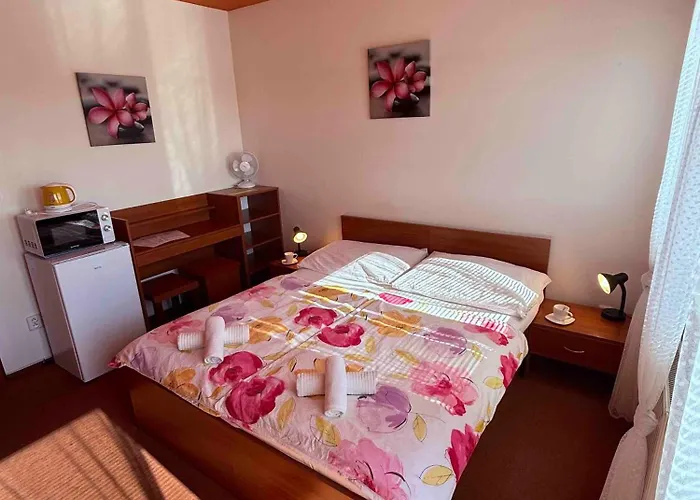 Ξενοδοχείο Apartmany, Penzion, Wellness U Zlate Rybky Vyškov