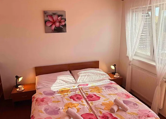 Apartmany, Penzion, Wellness U Zlate Rybky Ξενοδοχείο
